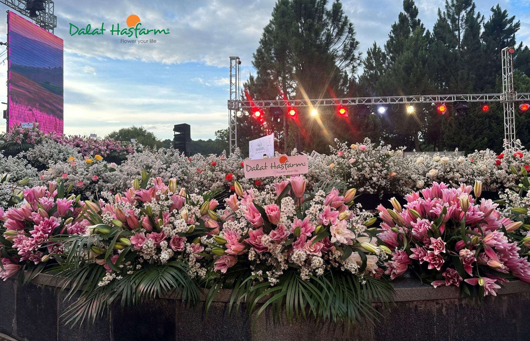 Vẻ Đẹp Hoa Tươi Dalat Hasfarm Tỏa Sáng tại "Hương Sắc Cao Nguyên"