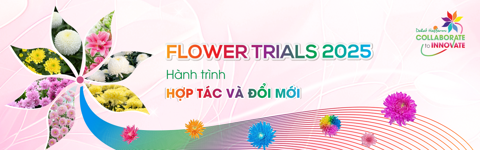 Dalat Hasfarm Flower Trials 2025 2025 – House of the Future
