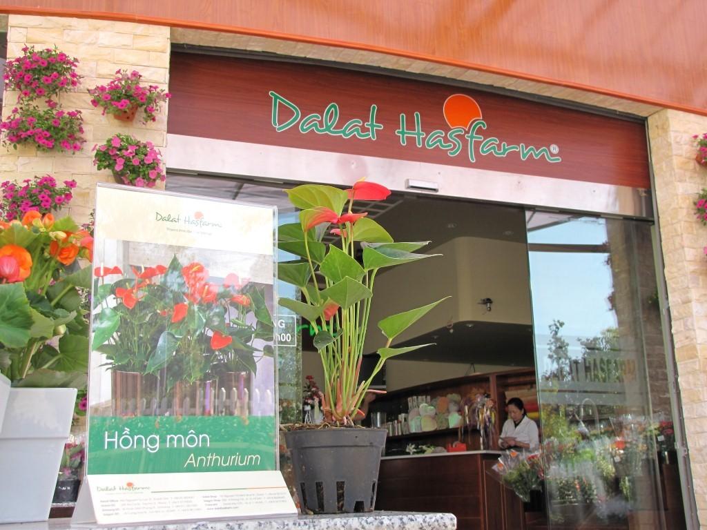 Dalat Hasfarm đầu tư showroom mới tại Đà Lạt