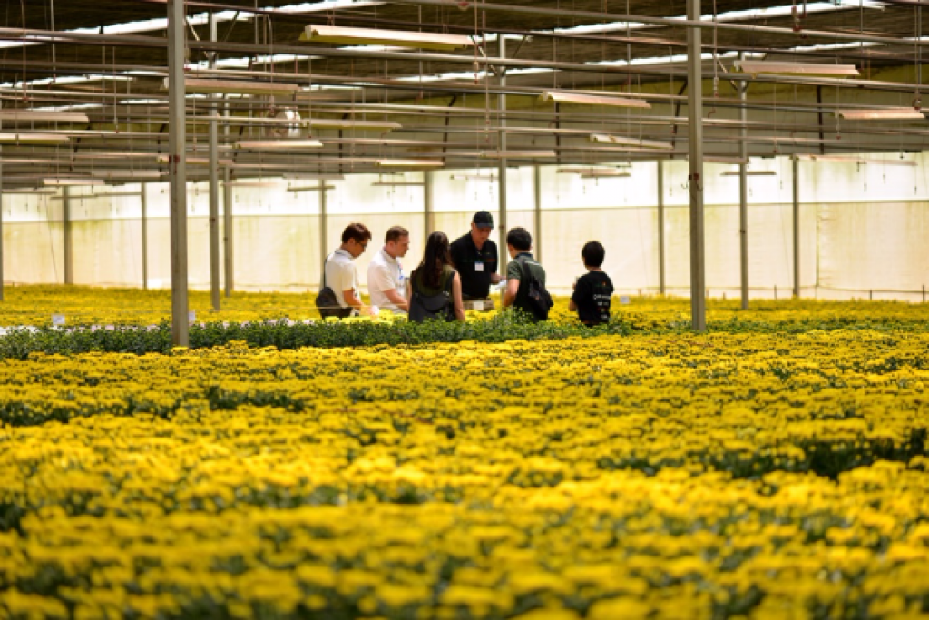 TCBC - Flower Trial - Cảm hứng và sáng tạo