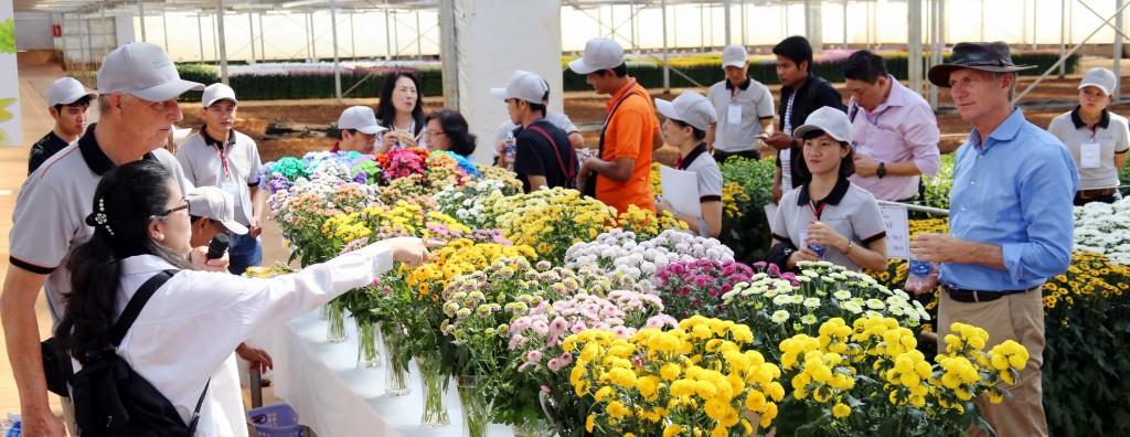 Dalat Hasfarm giới thiệu quy trình sản xuất hoa bền vững tại Flower Trials 2018