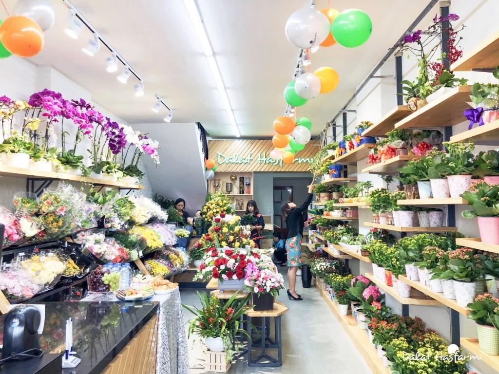 Diện mạo mới của Dalat Hasfarm Nguyễn Chí Thanh