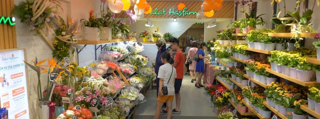 Cửa hàng Dalat Hasfarm Hai Bà Trưng - Hà Nội ra mắt diện mạo mới