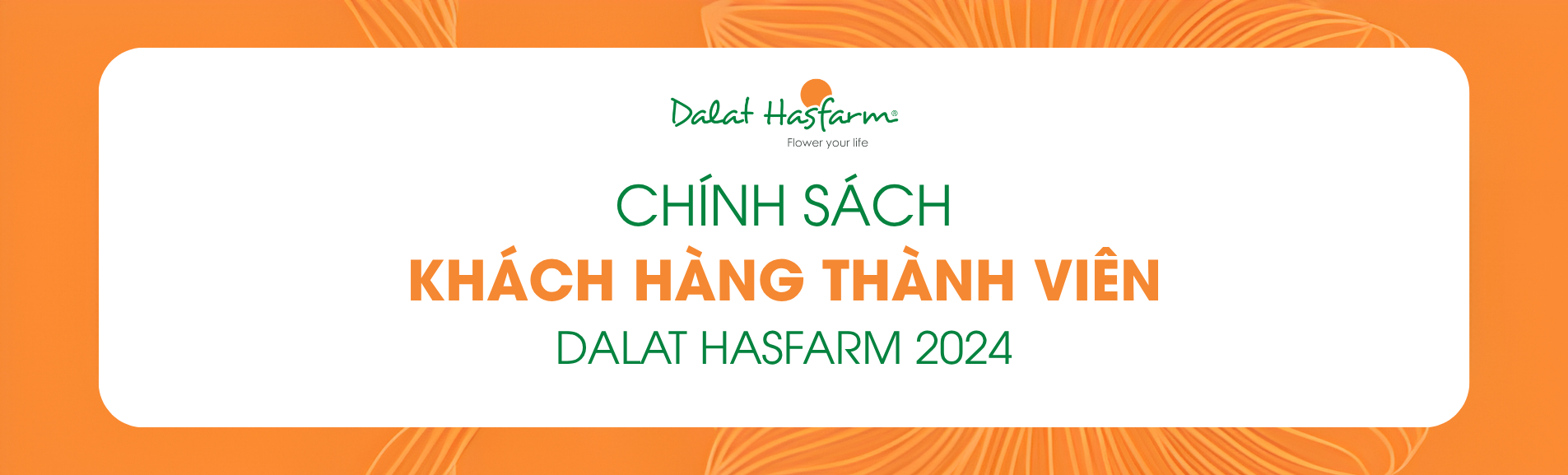 Chính sách chương trình Khách Hàng Thành Viên 2024