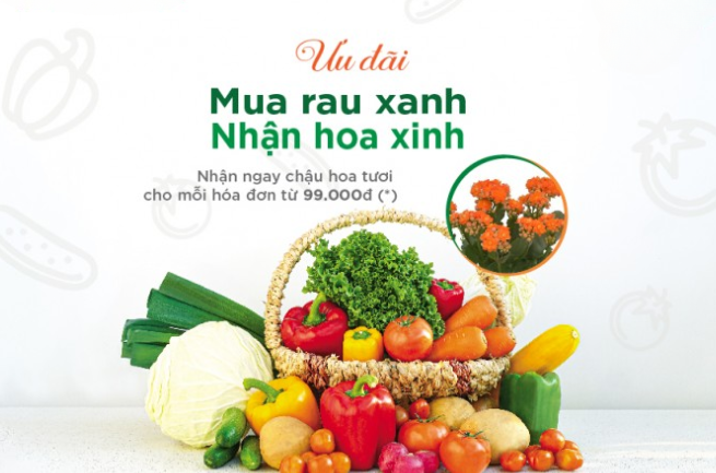 Hasfarm Greens+ triển khai chương trình “Mua rau xanh, nhận hoa xinh” tại Hà Nội