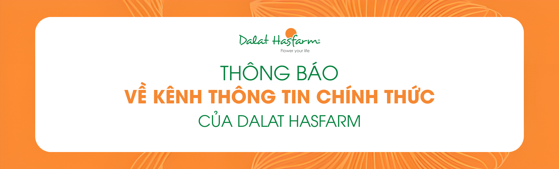 Thông báo về các kênh thông tin chính thức của Dalat Hasfarm