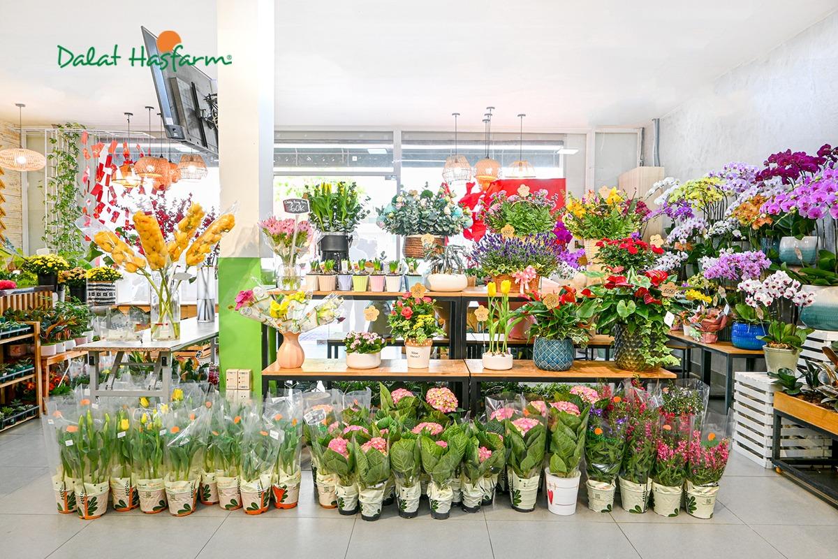 Khai trương chính thức cửa hàng Nơ Trang Long